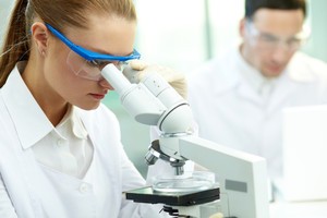 在線氨氮分析儀在污水處理廠中的作用